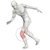 Accapi Pro Tech Knee Guard picture 1