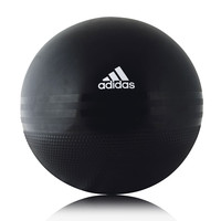 Adidas 65cm Gym Exercise Ball