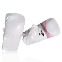 Adidas Box Fit Boxing Gloves