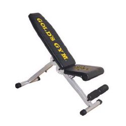 Golds Gym Utility Bench