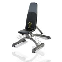 golds gym maxi dumbbell bench