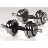 golds gym 23.6 chrome and rubber dumbells