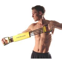 golds gym torso max chest expander