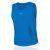 Gore Evolution Run Vest