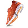 Reebok Lady Taikan NK IV Running Shoes picture 3