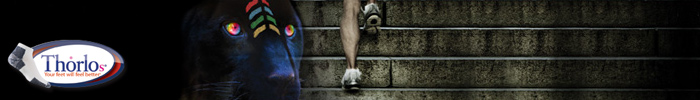 Thorlo Thick Cushion Crew Running Socks
