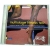 Multistage Fitness Bleep Test CD