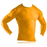 Under Armour Long Sleeve Crew Baselayer Top